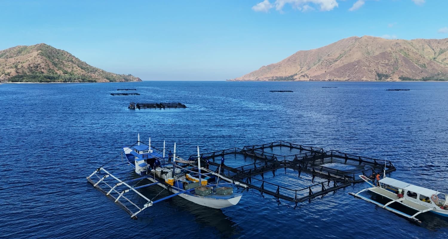 Aquaculture background