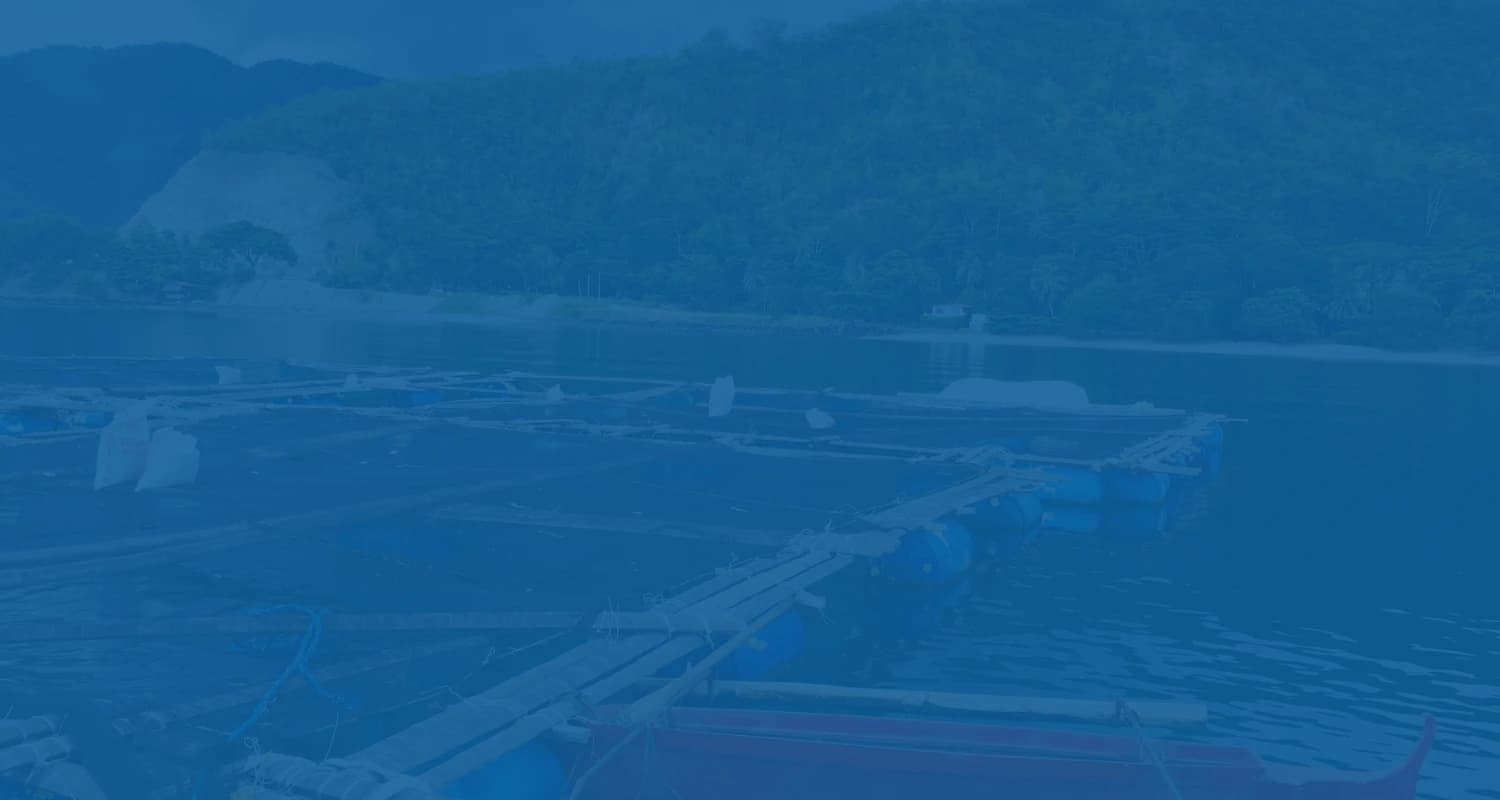 Water quality background